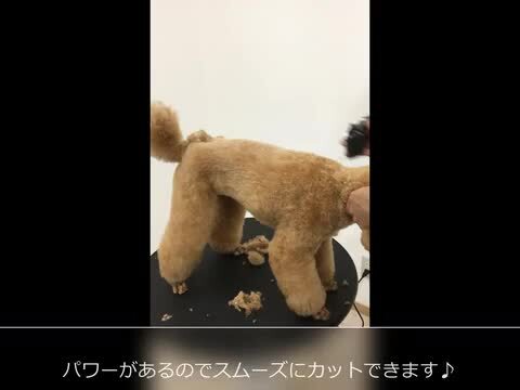 犬 バリカン WAHL ウォール プロペットバリカンコード式 楽天市場】犬 バリカン WAHL ウォール プロペットバリカンコード
