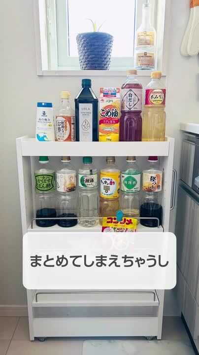 楽天市場】【25日0時~クーポン5％引】 隙間収納 ロータイプ