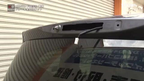 楽天市場】【大特価！5000 円ポッキリ】【クーポン割引対象外