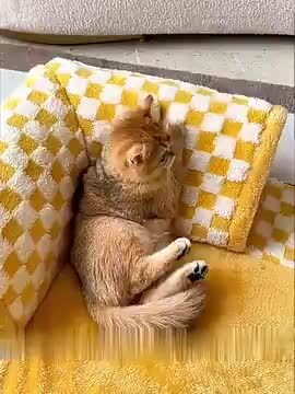 猫の巣の冬の保温寝袋閉鎖式の家の深い睡眠トンネル式  サイズ CW02.jpg