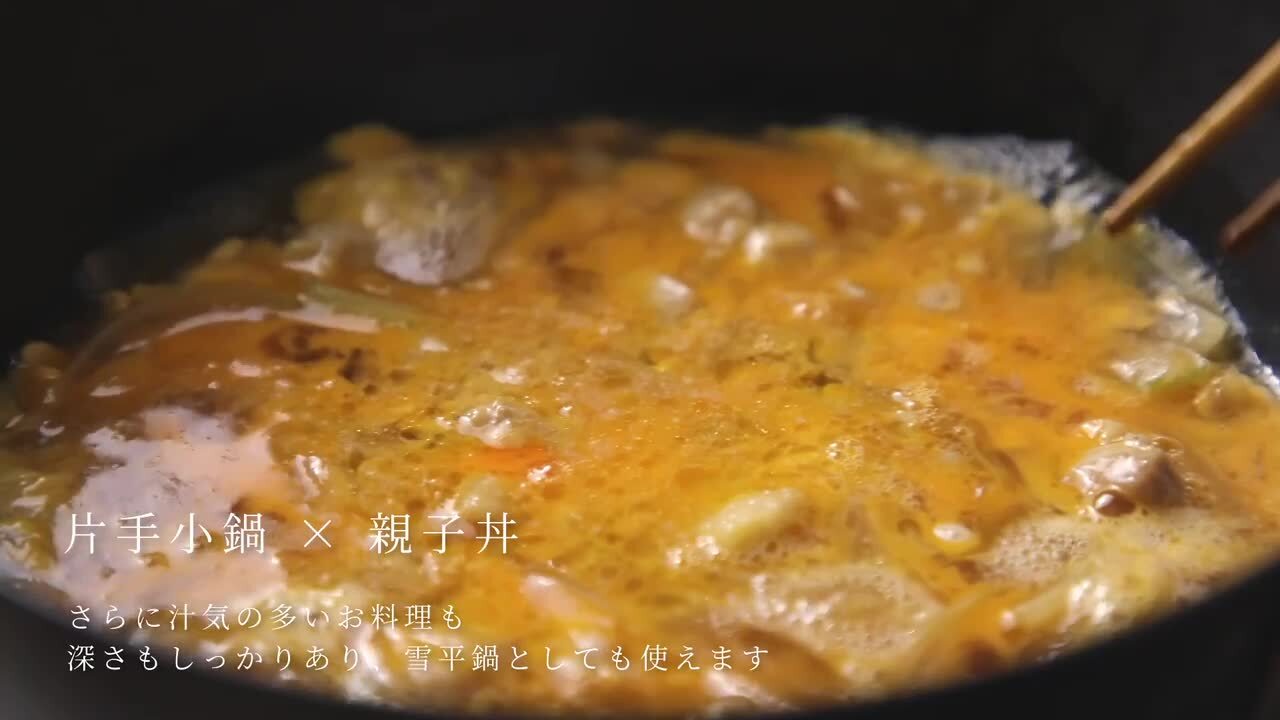楽天市場】リバーライト 極JAPAN 片手小鍋 20cm 鉄行平鍋