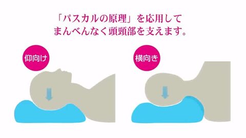 楽天市場】ポイント10倍 S-sleep 公式 エススリープ トリ