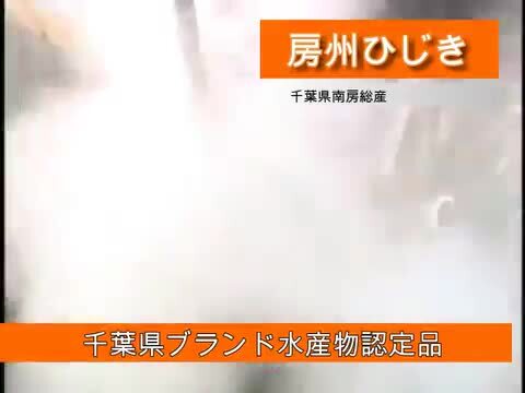 房州長ひじき150g千葉県南房総産ヒジキ！太くて柔らかい房州ひじき！[国産][千葉県][房州ひじき]いつでもチャック 大容量  お！茶しま専科 健康通販倶楽部