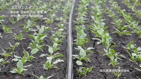【手渡し限定！】スミホース 約40m 21本 バラ売り検討 住化農業資材 手渡し限定！】スミホース 約40m 21本 バラ売り検討 住化農業