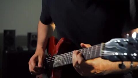 楽天市場】VERTEX NYLE 新品 プリアンプ/コンプレッサー