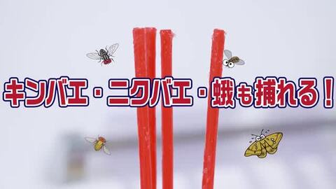 楽天市場】ハエとり棒 ハエ コバエ 駆除 捕獲(3セット)【アース】[ハエ