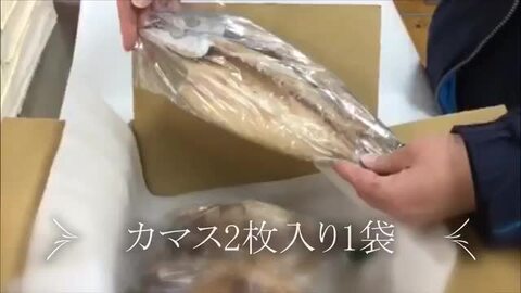 楽天市場】干物 魚 5魚種10枚 干物セット 無添加ひもの