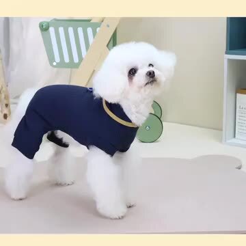 くま ハンドメイド 犬服 Rockkiss ラグランロンＴ ミニ裏毛 楽天市場】犬 服 ペット 犬服 くま ペットウェア 熊柄 クマ柄