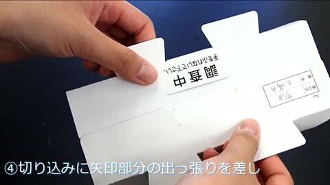 業務用☆少量50枚/ゴキブリトラップ・調査用トラップ (L) 50枚入 紙製 床トラップ 昆虫 害虫 生息 調査 モニタリングトラップ  モニター 虫退治