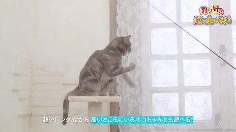 猫用おもちゃ 釣り好きにゃんぺい 伝説の猫遊ロッド＋トビウオ