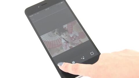 楽天市場】数量限定100set!5箱セット！エコデバイス PhotoBee