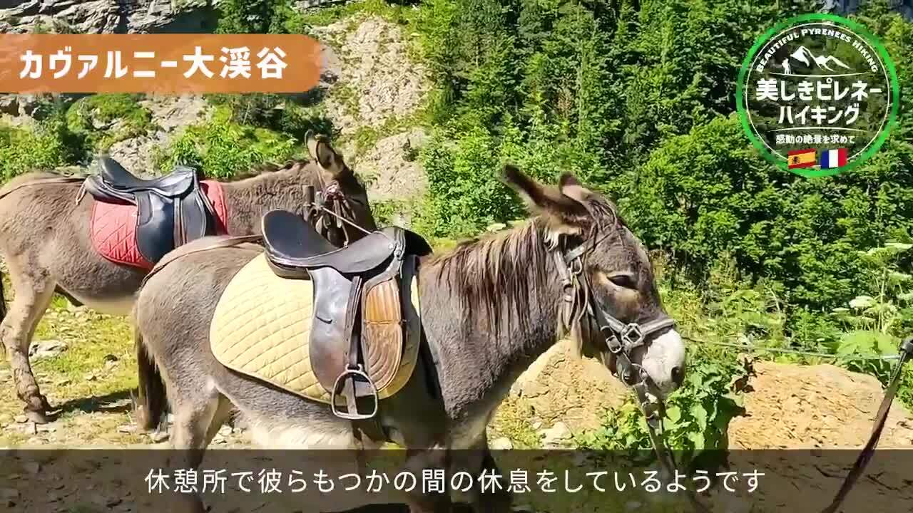 ガヴァルニー大渓谷ハイキング