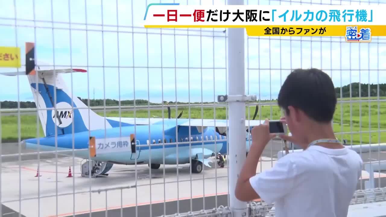 空飛ぶイルカ”天草から関西に1日1便やってくるレア飛行機『みぞか号
