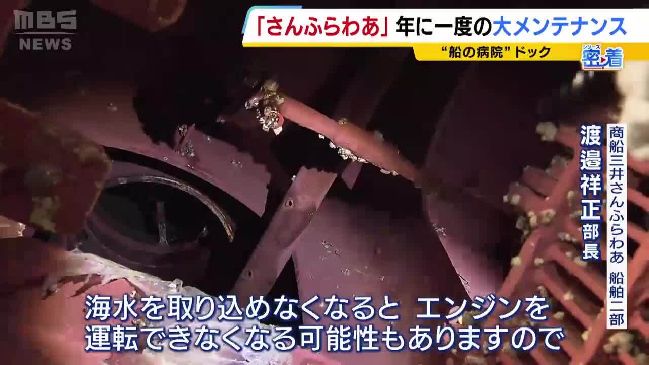 人気フェリー「さんふらわあ」総勢100人超で挑む”年に一度”の大規模
