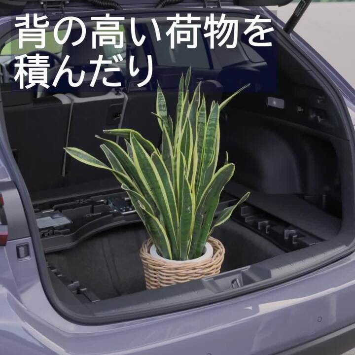 機能・装備 | レヴォーグ レイバック | SUBARU