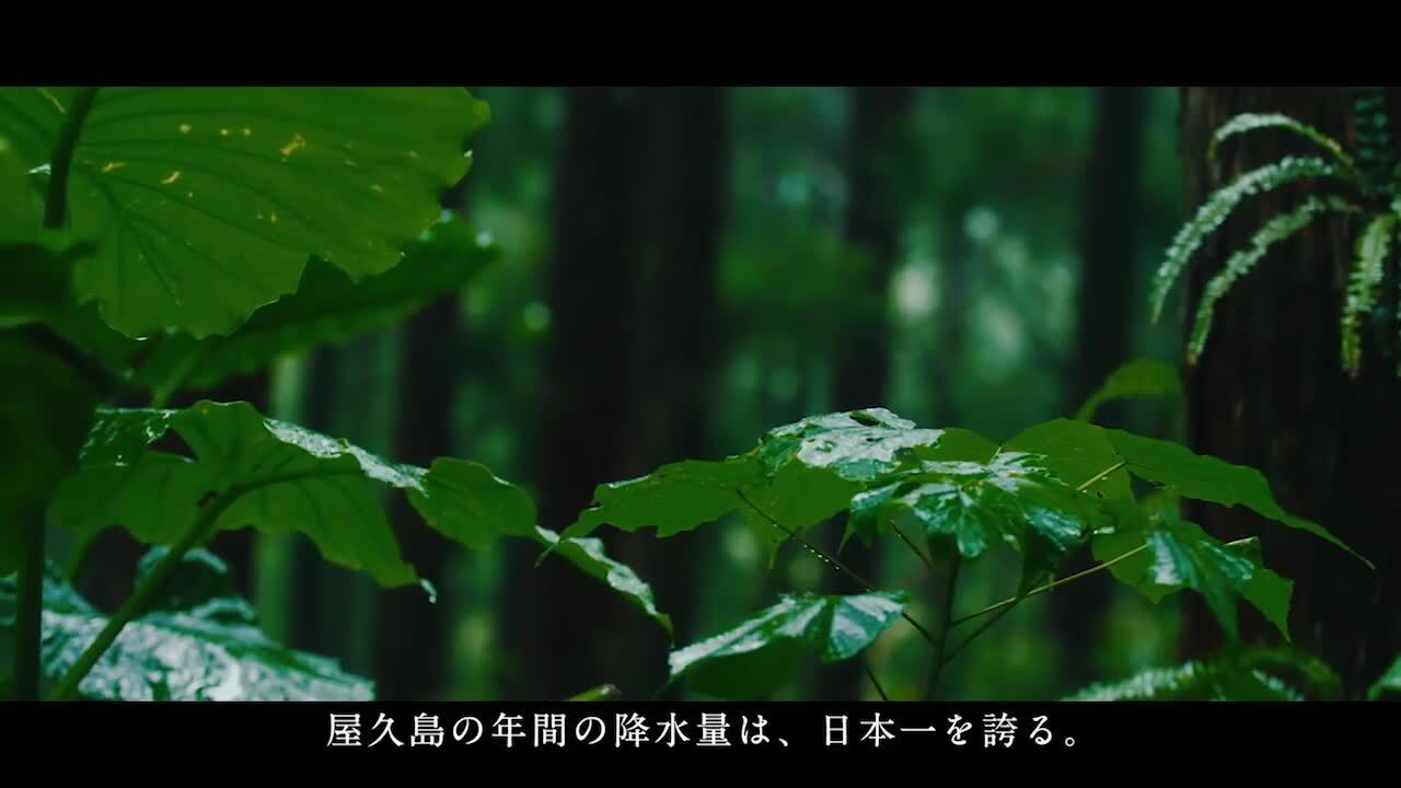 しんどうまりこページ> DECORTÉ AQ MELIORITY2点セット Amazon | コーセー コスメデコルテ COSME DECORTE AQ