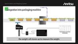 Built-In Multi-Lane Weighing System