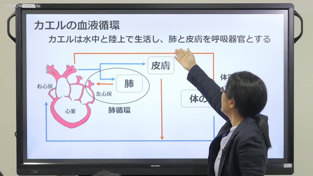 心臓の形を科学する 心臓の環境適応戦略 東洋大学 入試情報サイト