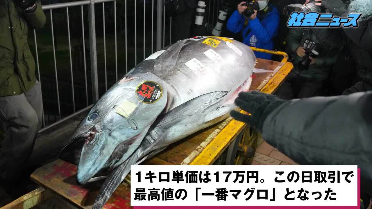 大幅値下げ❗️「古平戸」鯛乗恵比寿大黒文水注 水野博司 Hiroshi Mizuno 焼き締め 大平丸急須 ST0144 | TOKONAM