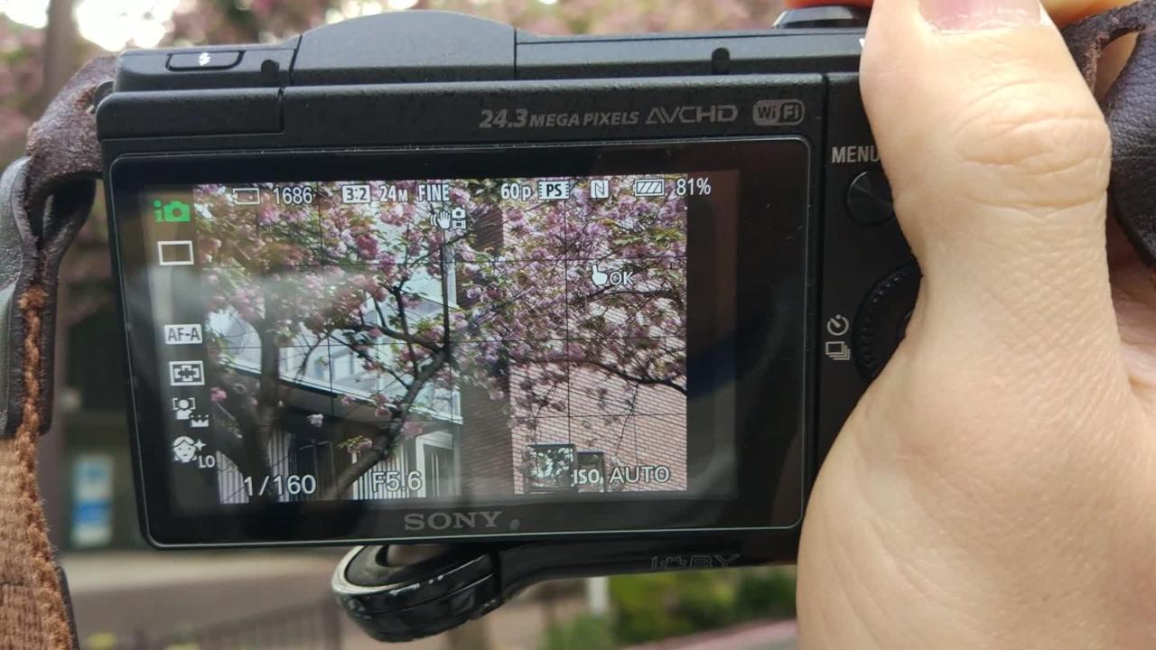手ぶれ補正の誤作動』 SONY α5100 ILCE-5100 ボディ のクチコミ掲示板 
