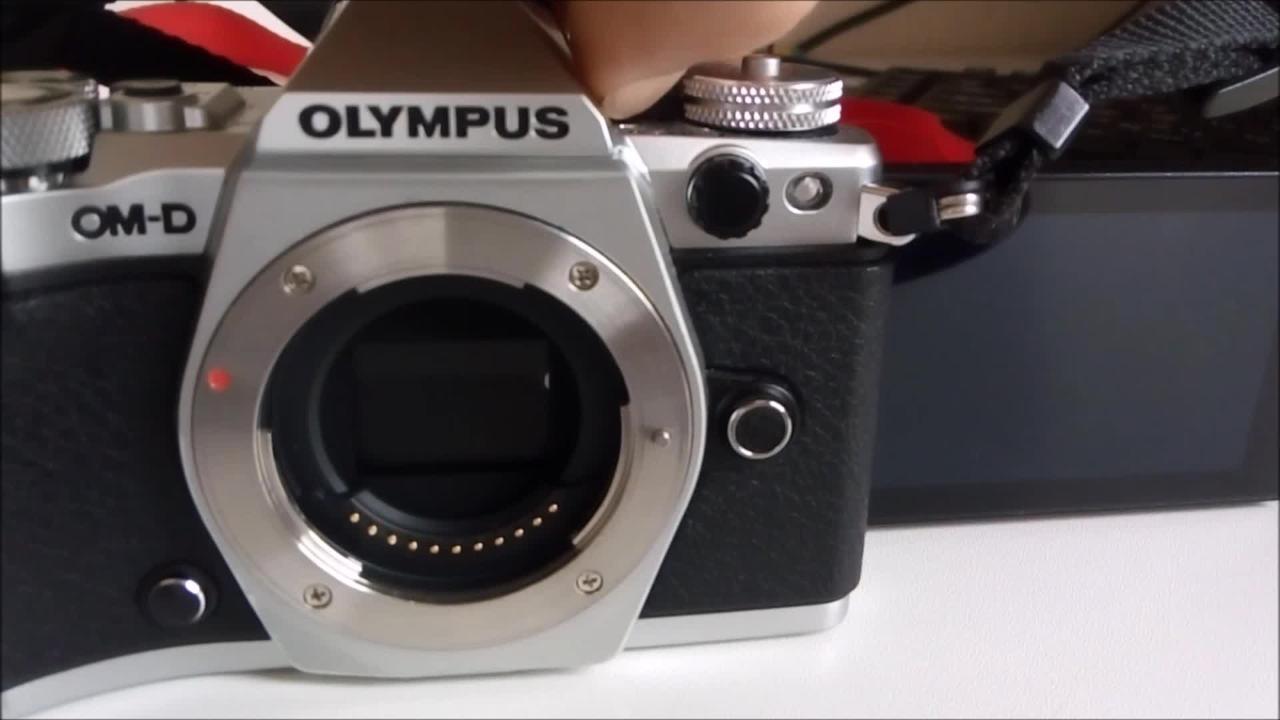 18000ショットでシャッターが逝きました』 オリンパス OLYMPUS OM-D E