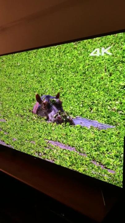 価格.com - 『X WIDE ANGLEはこんな感じ。』SONY BRAVIA KJ 価格.com - 『X WIDE ANGLEはこんな感じ。』SONY BRAVIA KJ