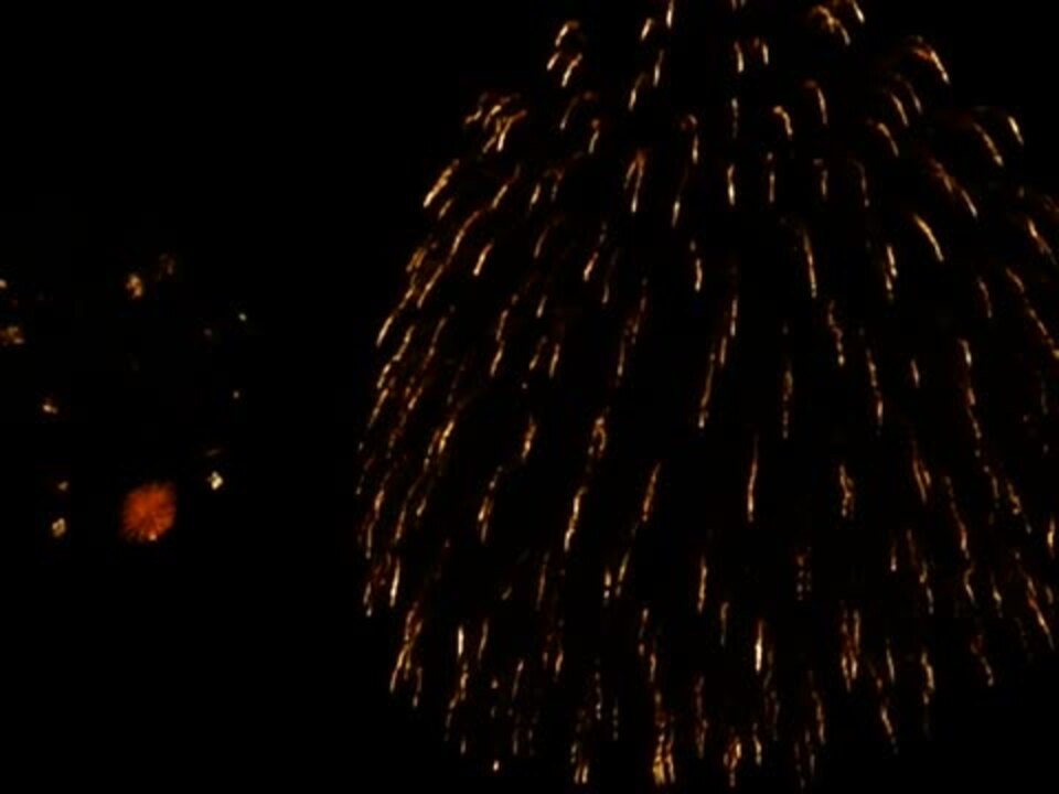 じゃれねこ『2月☆18 花火×蝶々』