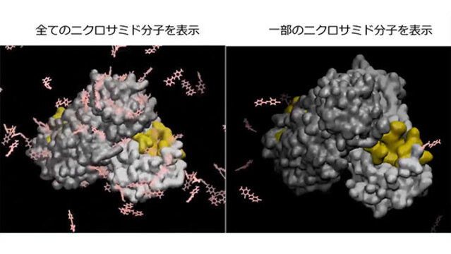 新型コロナ コロナ薬候補を数十種類 スパコン 富岳 で京大発見 日本経済新聞