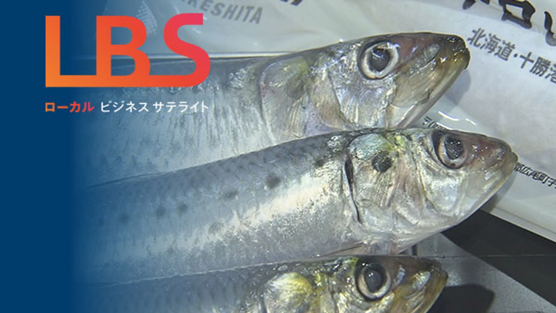 漁獲の0.1%、激レア「大トロいわし」 高値で販路拡大｜NIKKEI CHANNEL