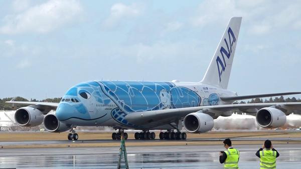 ◾️最新：ANA Airbus A380 1:160超大型サイズ ◾️最新：ANA Airbus A380 1:160超大型サイズ - メルカリ