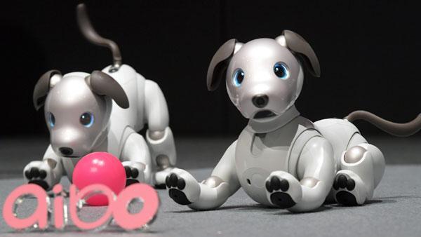 ソニーから「aibo」登場 - 愛すべき犬型ロボット、本体は税別