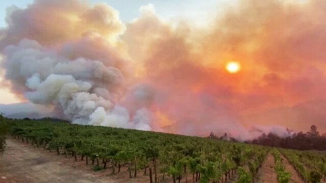 カリフォルニア州の山火事 ワイン産地ナパバレーにも 日本経済新聞