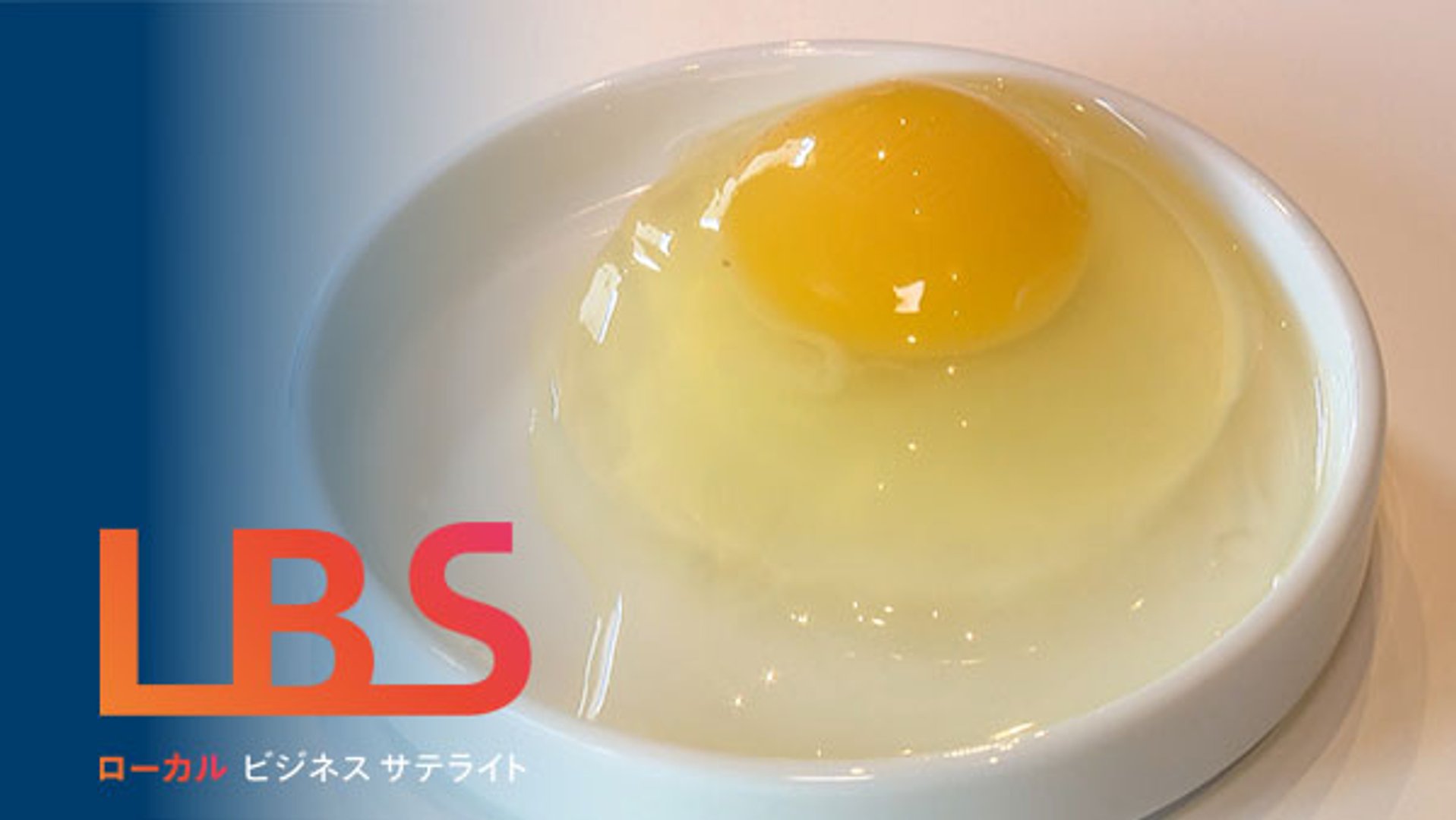 1個100円の卵、限界集落からミシュラン掲載店へ 耕作放棄地で養鶏