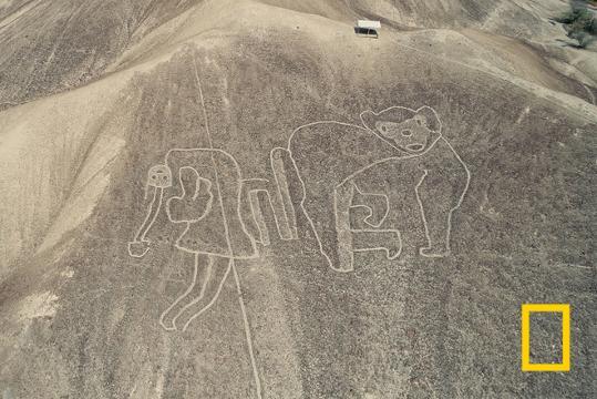 世界遺産 ナスカ展 地上絵の創造者達 世界遺産ナスカ展図録～地上絵の創造者たち |本 | 通販 | Amazon