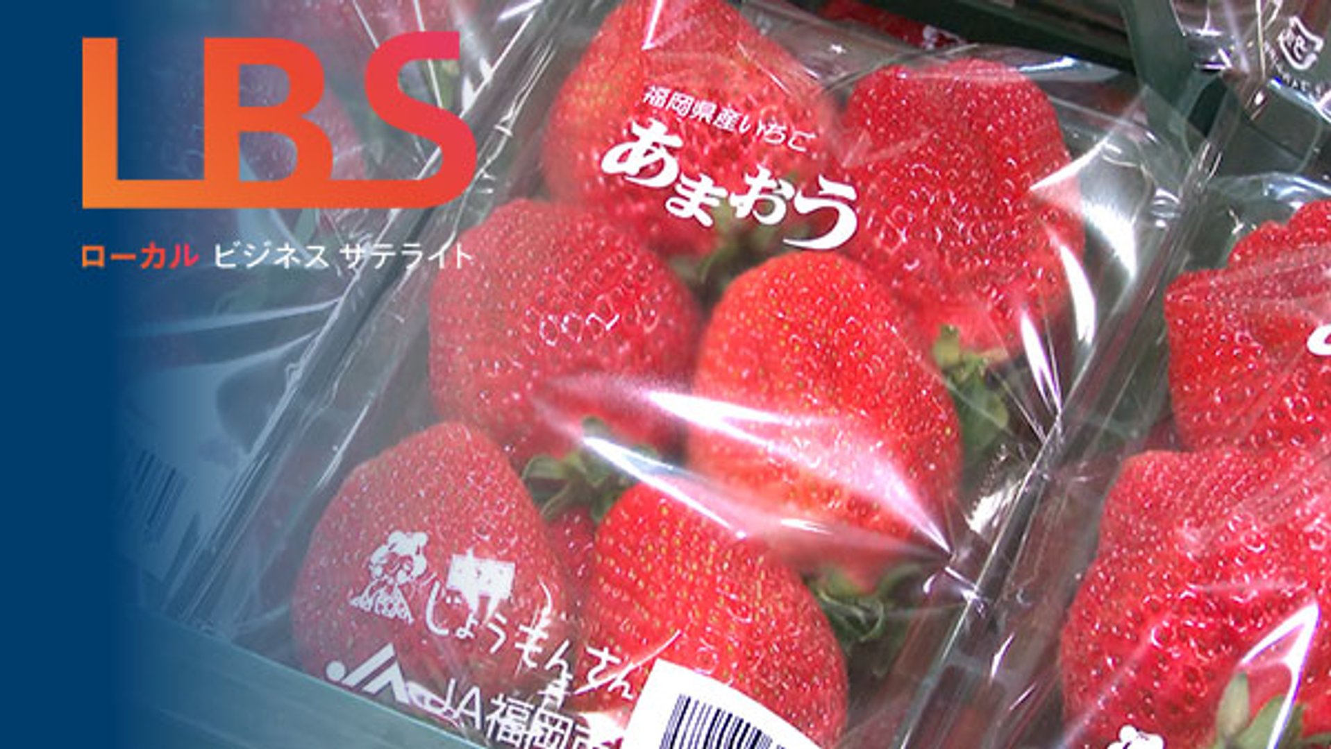 なくせ豊作貧乏」野菜を長期保存、安値時期回避 福岡発祥の物流業