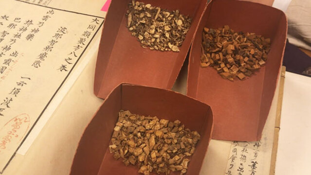 大同類聚方 平凡社 大同類聚方 平凡社 本