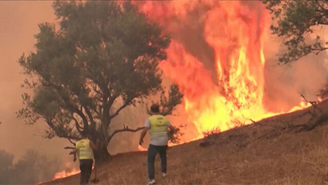 森林火災が世界で頻発 異常気象で気温上昇 対応迫る 日本経済新聞