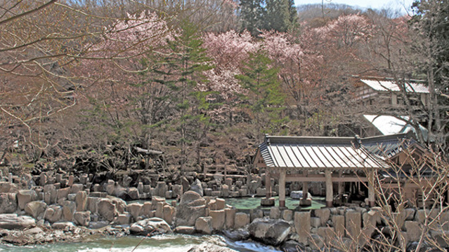 花見の湯で春の訪れ体感 桜を眺める日帰り温泉10選 - 日本経済新聞