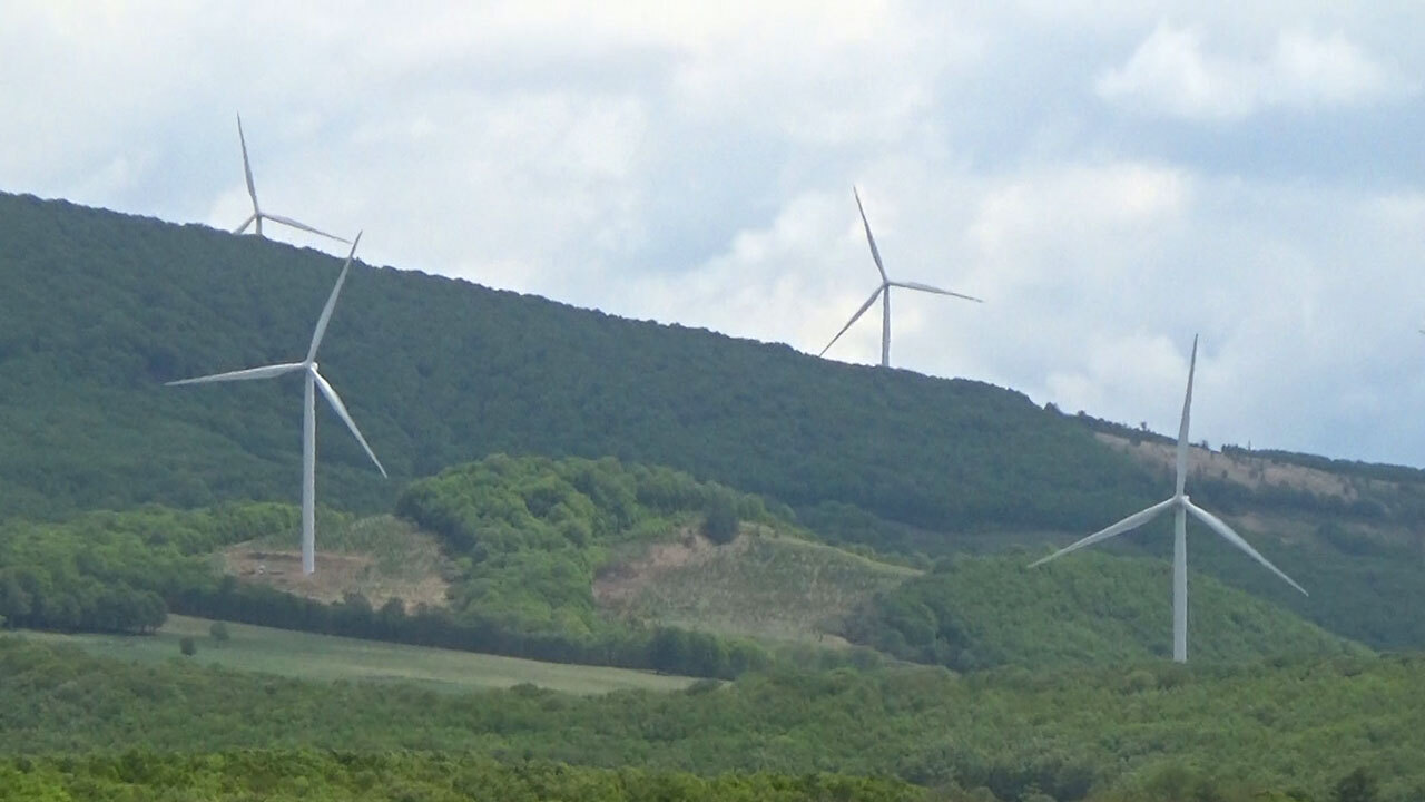 風力発電のために300年の森を破壊 失われる価値大きすぎる 朝日新聞デジタル