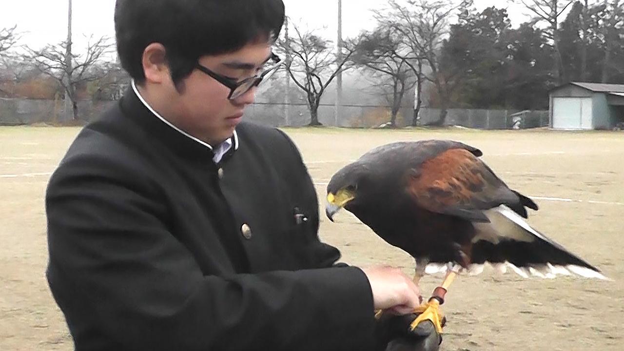 タカと一緒に一人暮らし 男子高校生、なぜ親元離れて [群馬県]：朝日