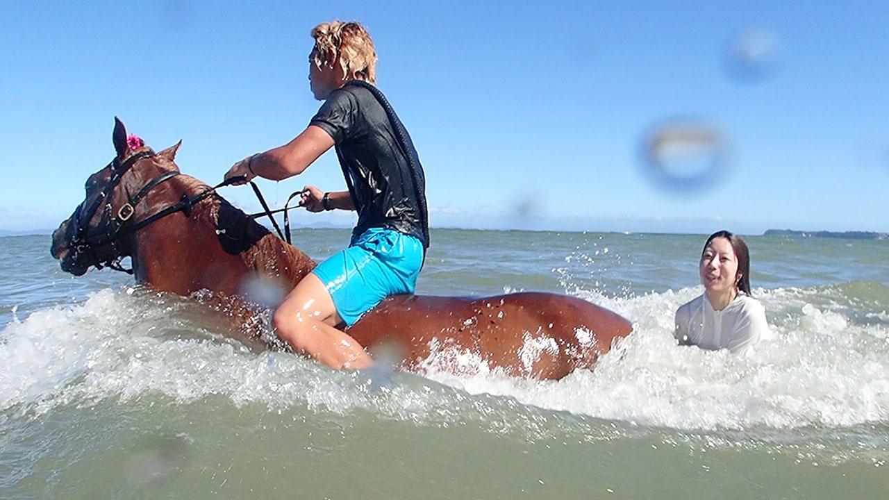 馬と一緒に海水浴 三浦海岸で人気 夏だけ楽しめる乗馬 朝日新聞デジタル