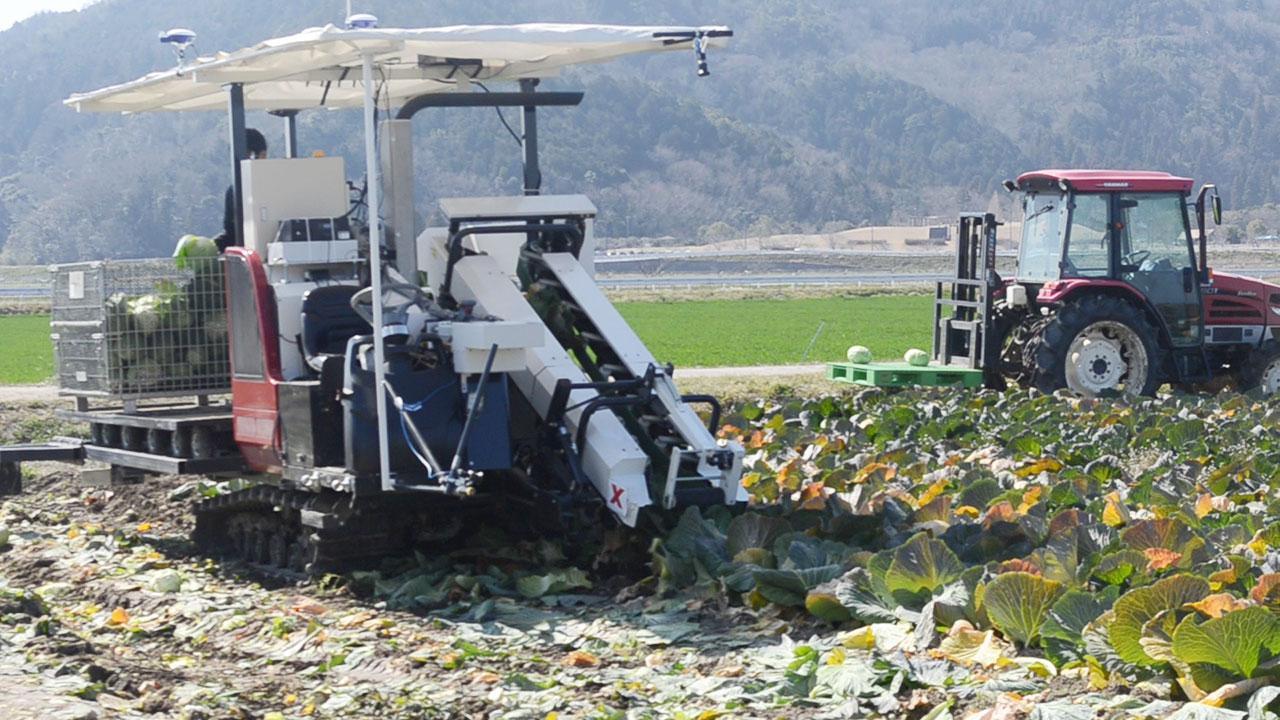 【発送通知付き】 キャベツ農家になろう！　ギャイア3枚　 ロマネアース　4枚 田植機 | 農機の変遷 | 井関農機100周年サイト