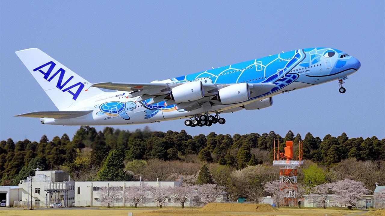 飛んだ！ANAの「空飛ぶウミガメ」 世界最大の旅客機 [千葉県]：朝日新聞