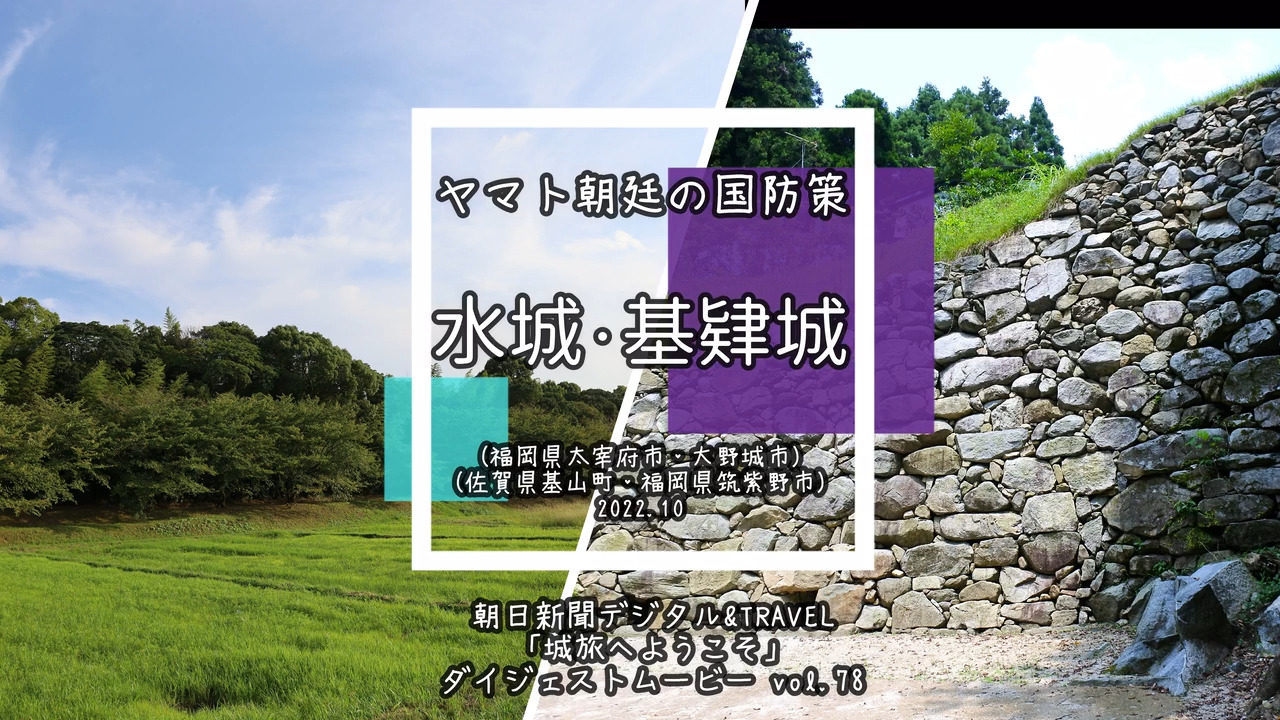 天然翡翠 ビルマ 黄杨緑 年年有余 掛件 民国 天然翡翠 ビルマ 黄杨緑 年年有余 掛件 民国