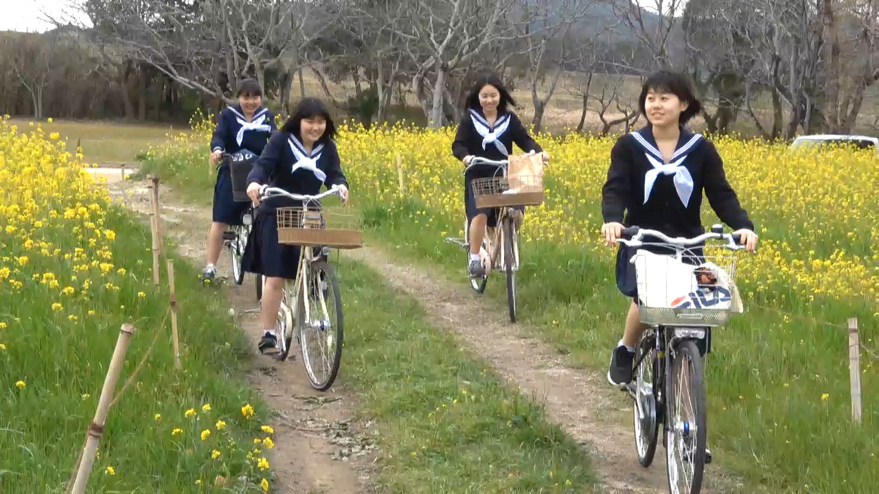 高知）菜の花背景に思い出の一コマ 四万十市の女子高生 [高知県]：朝日新聞デジタル