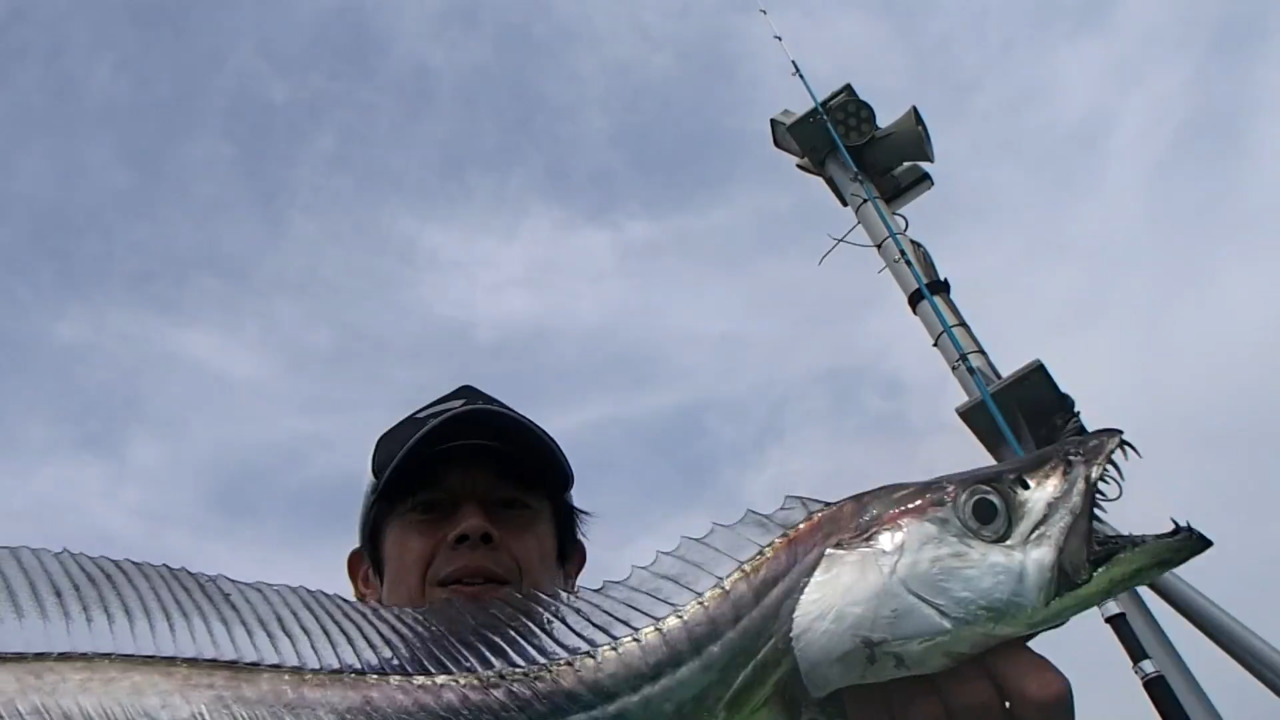 東京湾でドラゴン捕獲 タチウオのテンヤ釣り大ブーム 朝日新聞デジタルマガジン And