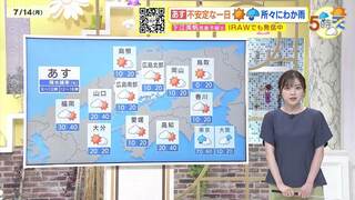 塾講師オリジナル数学解説 全問動画付!! 城北 2022-24 高校入試