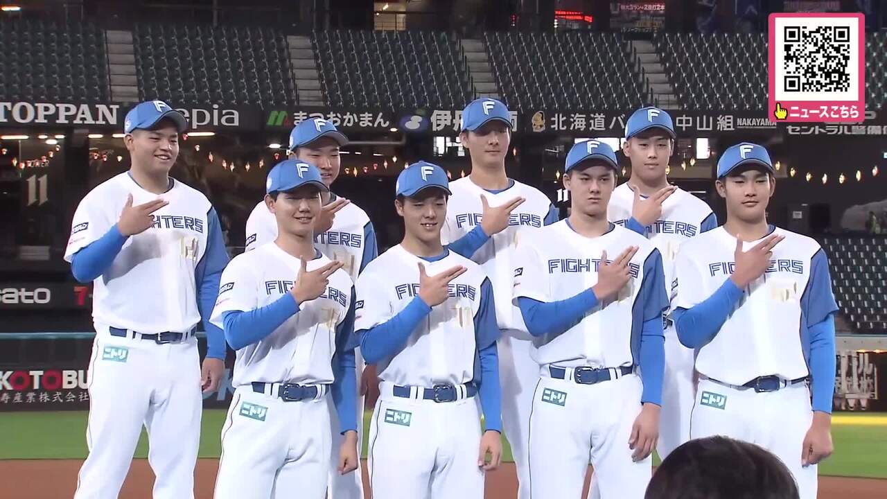 柴田獅子 北海道日本ハムファイターズ 日ハム fighters