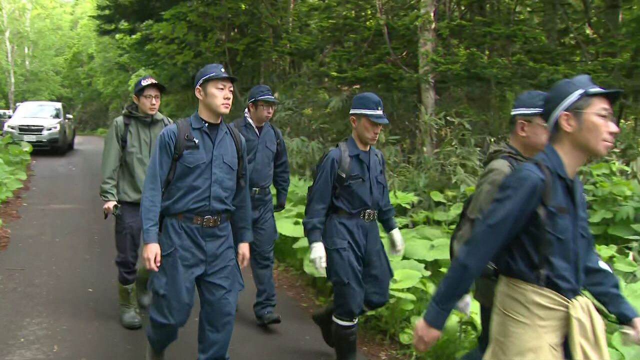 倒木の穴で“夜を過ごす”「やぶが高くて帰る方向が分からなくなった