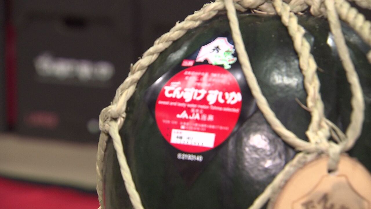 でんすけすいか1玉60万円】当麻町特産のスイカ“初競り”札幌では3年連続